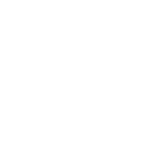 Roof Washing Icon